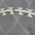 Concertina Wire - Melilla Concertina Wire