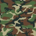 My Favorite Fashion Patterns - Us Woodland
