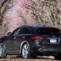 Bird Feces Misery And Horse Power Exhilaration - Infiniti Fx50 Sakura Blossoms