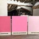 Pink - Pink Monochrome Paintings