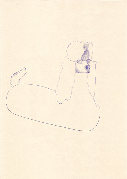 Riiko Sakkinen | A4 Drawings | Pudel