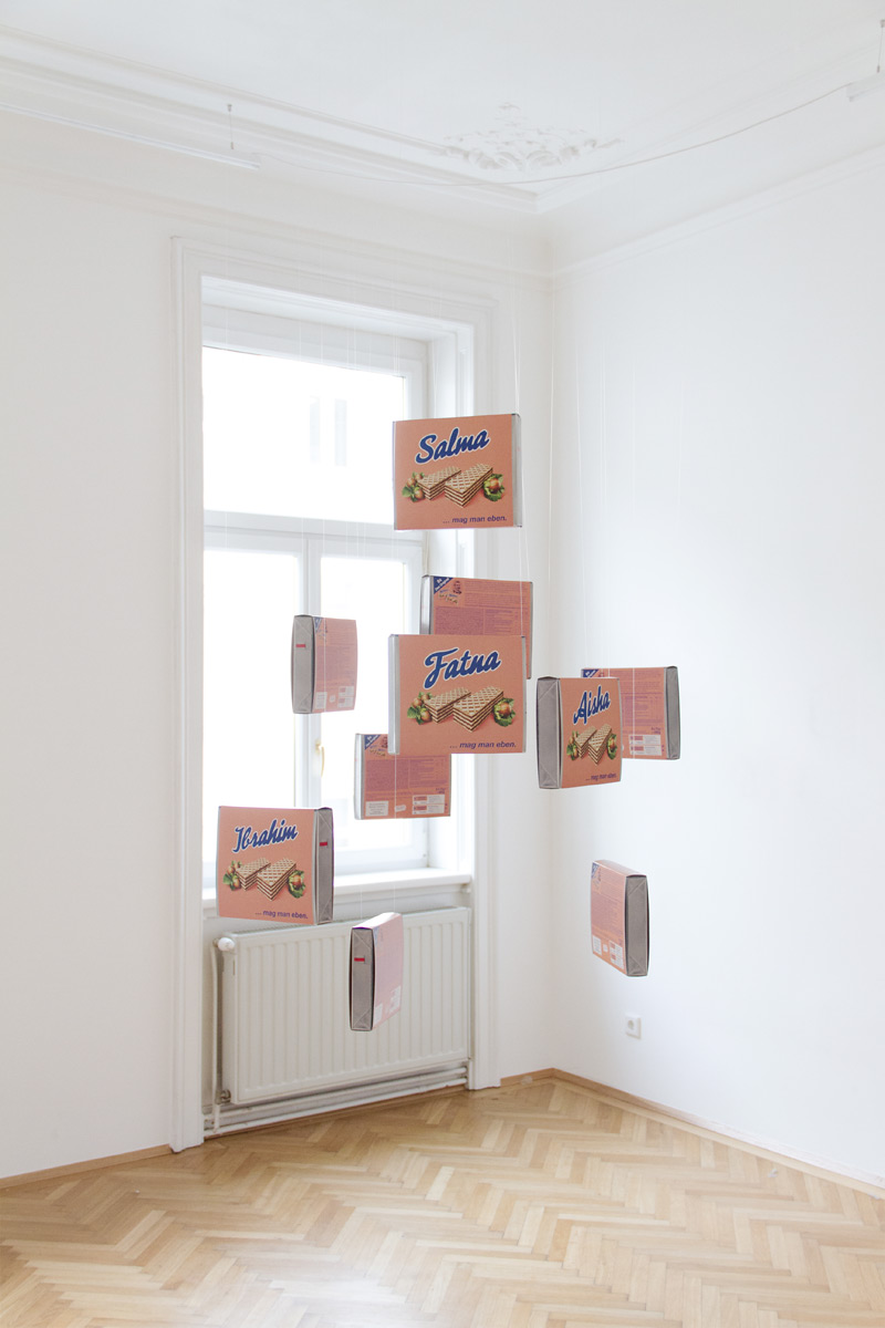 Riiko Sakkinen | Installation Views | My Austrian Friends