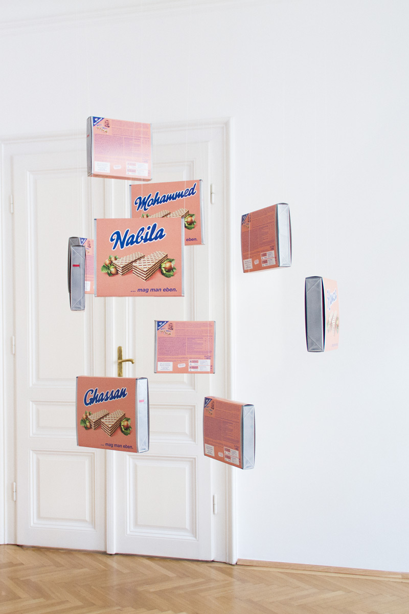 Riiko Sakkinen | Installation Views | My Austrian Friends