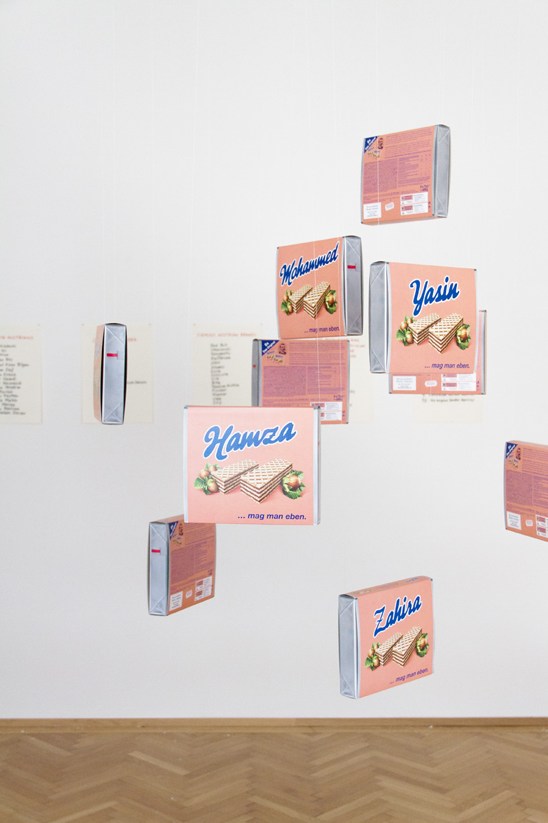 Riiko Sakkinen | Installation Views | My Austrian Friends