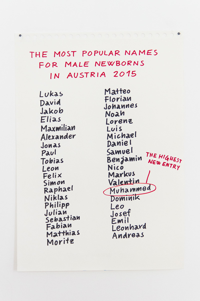 Riiko Sakkinen | Installation Views | My Austrian Friends