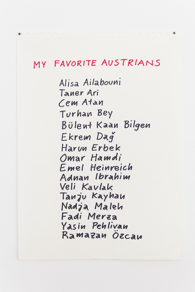 Riiko Sakkinen | Installation Views | My Austrian Friends