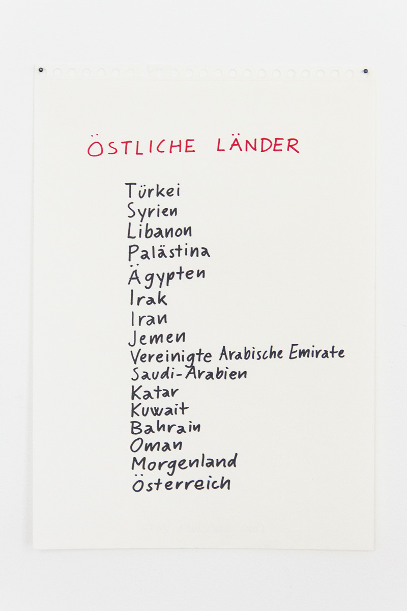 Riiko Sakkinen | Installation Views | My Austrian Friends