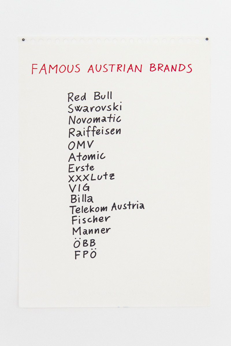 Riiko Sakkinen | Installation Views | My Austrian Friends