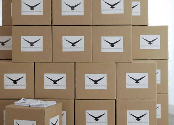 Riiko Sakkinen | Installation Views | Magnetic Eternal
 Life Device