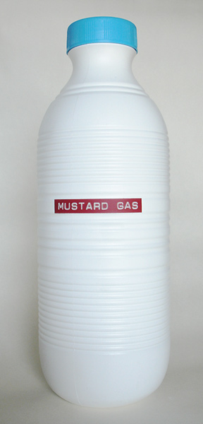 Riiko Sakkinen | Objects | Domestic Terrorism