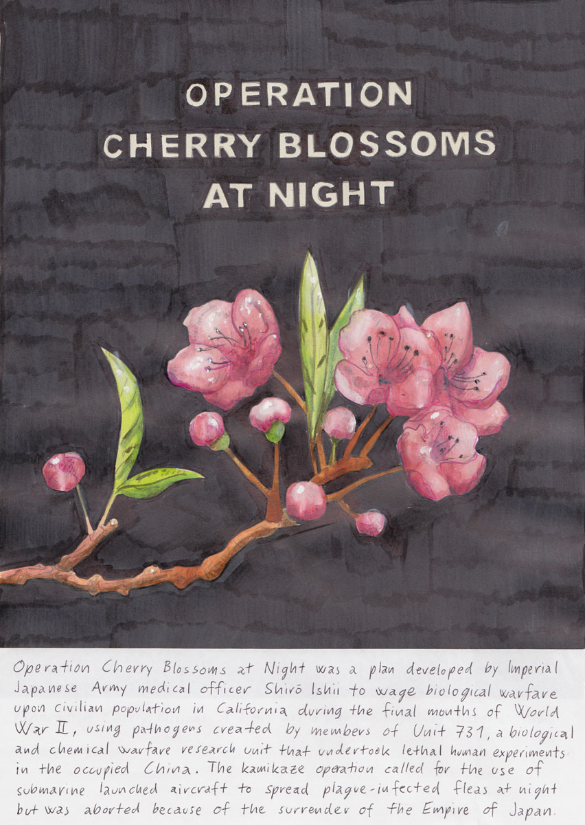 Riiko Sakkinen | A4 Drawings | Operation Cherry Blossoms at Night